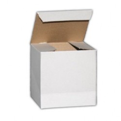 CAJA CARTON BLANCA AUTOMONTABLE CERRADA